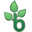 beanstalk-1.png